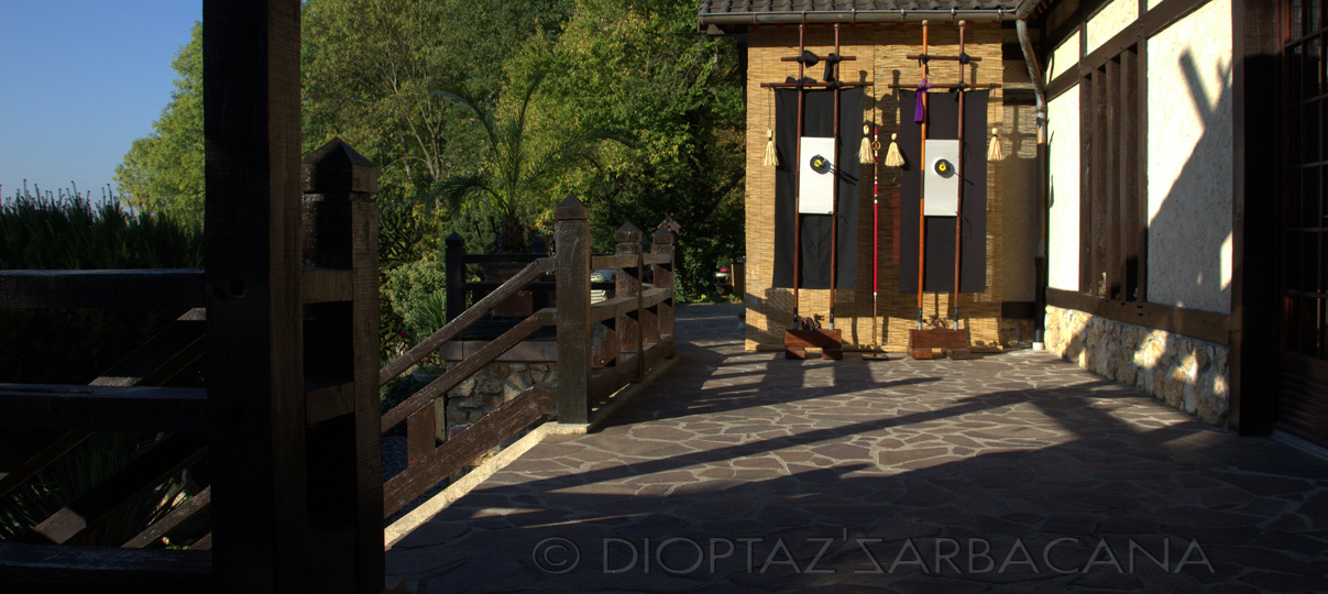 Marie-Claude PIETRAGALLA  marraine du Dioptaz'Sarbacana